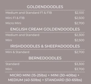 Puppy Prices | Lonestar Doodles