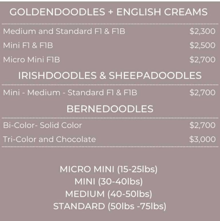 Lonestar Doodles Pricing